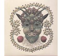 Akron - Akron/Family