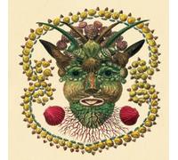 Akron - Akron/Family