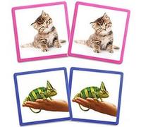 Akros Akros20401 Maxi-Memory Pets Cadre Jeu G