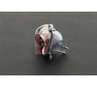 AKS DASIS 040067N Module-EGR