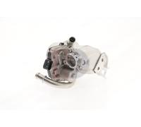 AKS DASIS 040089N Module-EGR