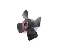AKS DASIS 048190N Ventilateur de radiateur