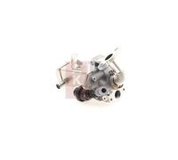 AKS DASIS 070184N Module-EGR