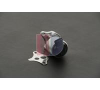 AKS DASIS 155022N Vanne EGR