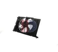 AKS DASIS 218080N Ventilateur de radiateur