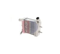 AKS DASIS 517009N Intercooler