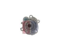 AKS DASIS 570021N Pompe à eau
