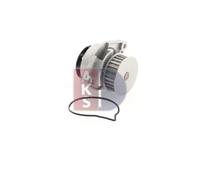 AKS DASIS 570026N Pompe à eau