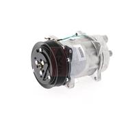 Compresseur, Climatisation, AKS DASIS 850586N