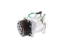 AKS DASIS 850634N Compresseur de clim