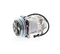 AKS DASIS 850668N Compresseur de clim