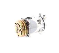 AKS DASIS 850870N Compresseur de climatisation