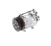 AKS DASIS 851677N Compresseur de clim