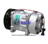 Compresseur, Climatisation, AKS DASIS 850663N