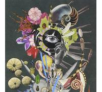 Aku No Hana [Import allemand]