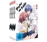 Akuma no Riddle - Gesamtausgabe - DVD Box - ohne Schuber