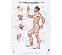 Akupunkturtafel Chart 1 Tung's Extraordinary Acupuncture Points on the regular channels
