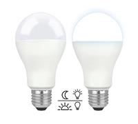 Akynite Ampoule LED Capteur Crépusculaire E27 12W 1200lm Blanc Froid 6000K, 230V 160 degrés, équivalent à 100W, Ampoule LED Détecteur de Lumière E27 pour Entrée Jardin Extérieur, lot de 2