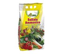 AL.FE Engrais azoté Sulfate d'ammonium Paquet de 5 kg