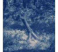 Al Suo Riposo / In Luce