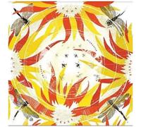 Alabaster Deplume - Come With Fierce Grace [Compact Discs]
