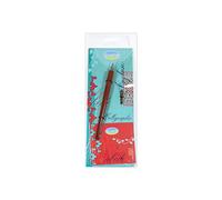 Aladine - Kit de Calligraphie Anglaise - Nécessaire pour Initiation à l’Écriture Anglaise - Porte Plume Calligraphique et Plumes Métalliques