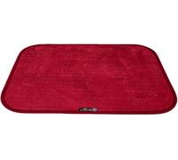 Aladino Tapis d’Entrée Intérieur/Extérieur pour Maison, Salle de Bain & Cuisine, Antidérapant, Lavable, Ultra Absorbant, Tailles et couleurs variées, Made in Italy 43x60cm, Bordeaux
