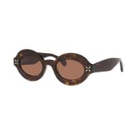 Alaia Femme Sunglass AA0059S - Couleur du Monture: Écaille, Couleur de Lentille: Brun