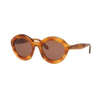 Alaia Femme Sunglass AA0088S - Couleur du Monture: Écaille, Couleur de Lentille: Brun