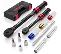 ALAIAL Clé Dynamométrique 1/2" & 3/8", 8 Pièces 5-60Nm, 20-220Nm Kit D'entretien, Précision ±3% avec Extension, Pneus Protection Douilles, Douilles à Bougie, Torx pour Vélo, Autos et Motos