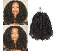 Alaleibaby Yanky Twist Lot de 9 paquets d'extensions de cheveux bouclés pré-torsadés au crochet avec boucles (4#, 30,5 cm)