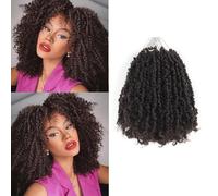 Alaleibaby Yanky Twist Lot de 9 paquets d'extensions de cheveux bouclés pré-torsadés au crochet avec boucles (4#, 25,4 cm)
