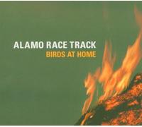 Birds at home