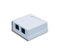 Alan - A-lAN - connecteur de la FTP Cat 5e 2 x RJ45 MJPEG (GN004)