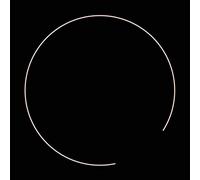 Alan Licht & Loren Conno - Into The Night Sky [Import]