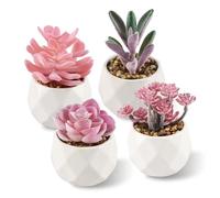 ALANGDUO Lot de 4 Plantes Succulentes Artificielles, Mini Plantes Artificielle avec Pot, Plante Artificielle Petite pour Table Maison Balcon Bureau Décoration, Rose