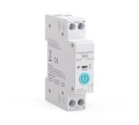 Alanmoship Disjoncteurs intelligents pour télécommande sans fil Tuya DC 63 A 12-80 V, compatible avec l'application Smart Life et Alexa