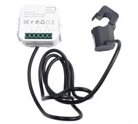 Alanmoship Tuya Smart Compteur d'énergie bidirectionnel 2 canaux avec pince CT, moniteur de puissance en temps réel, pour système solaire domestique, WiFi compatible avec Smart Hub, 100-240 V (1 canal