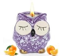 Alaoo Bougie Parfumée Élégante, Violet Hibou Orange Douce 24h Combustion | Bougies Cadeaux pour Femmes Décoration Maison Apaisante Flamme Douce