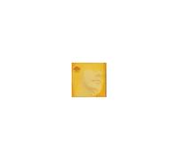 Bjork – Alarm Call – CD (Import, boîtier plat)
