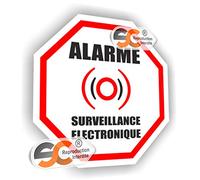Alarme Octogone - Sticker/Autocollant Vidéo Surveillance