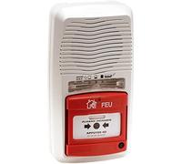 Alarme Type 4 autonome avec Flash