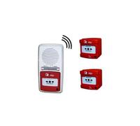 Alarme type 4 radio avec 2 déclencheurs pour ERP