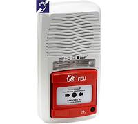 Alarme type 4 radio avec flash
