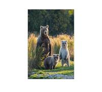 Alaska - Ourse Brune avec Trois Petits adorables，1000 Pièces De Puzzle Adulte Ou Enfants Jouets Jeu Cadeau Famille Coopérative Puzzle Complet（50x70cm）-AR80