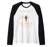 Alaska Territory Insect The Four Spot Skimmer Libellule Manche Raglan