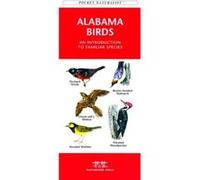 Alaska Trees amp Wildflowers A Folding Pocket Guide to Familiar Species by Illustrated by Dr Raymond Leung James Kavanagh James Kavanagh (Auteur)