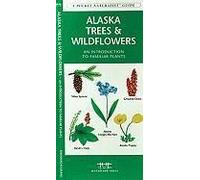 Alaska Trees & Wildflowers: An Introduction To Familiar Plants