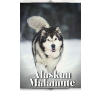 Alaskan Malamute: Dog Breed Overview And Guide
