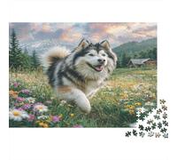 Alaskan Malamute Meadow Scene 1000 Piece Jigsaw Puzzle for Adults Paper Puzzle Game Family Focus Decor Gift 70x50cm/1000pcs